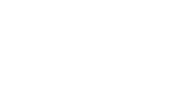 Broadcom 250x150 white logo