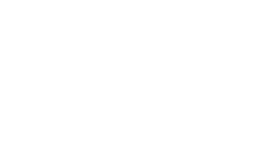 Databricks 250x150 white