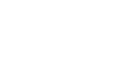 plantir logo 250x150 white